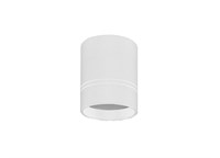 Накладной светодиодный светильник DONOLUX DL18481/WW-WHITE R